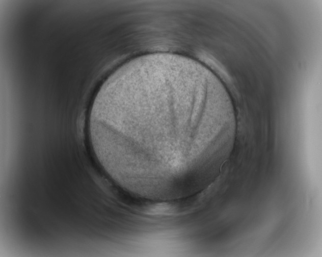 X0000088160058200705291920