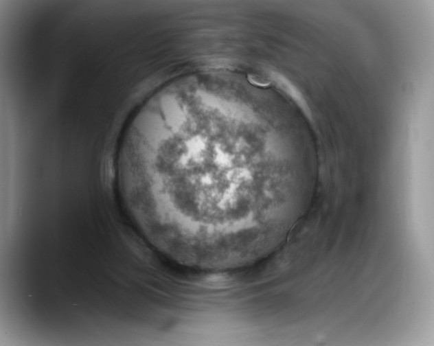 X0000088160059200705291920