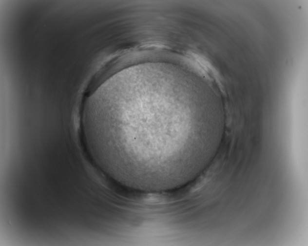 X0000088160060200705291920