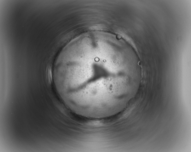 X0000088160061200705291920