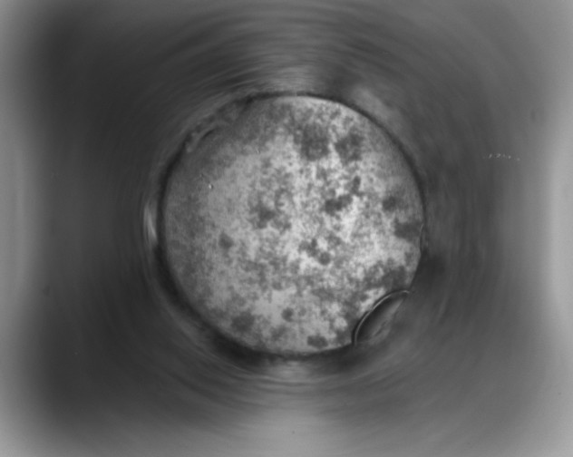 X0000088160062200705291920