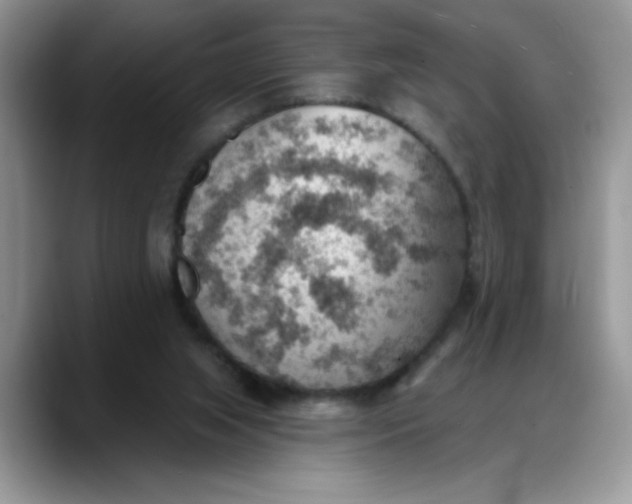 X0000088160063200705291920