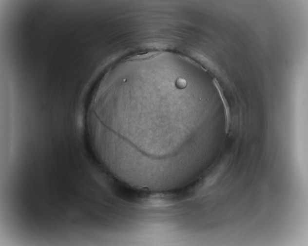 X0000088160064200705291920