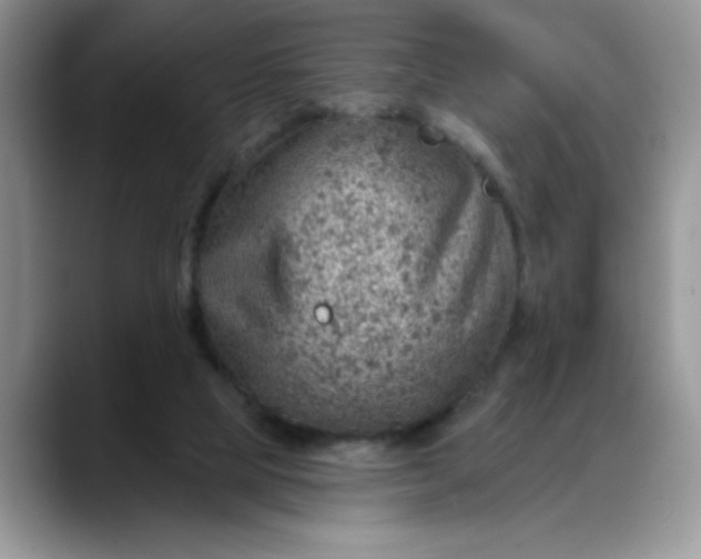 X0000088160065200705291920