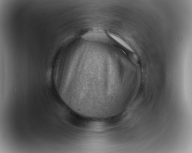 X0000088160066200705291920