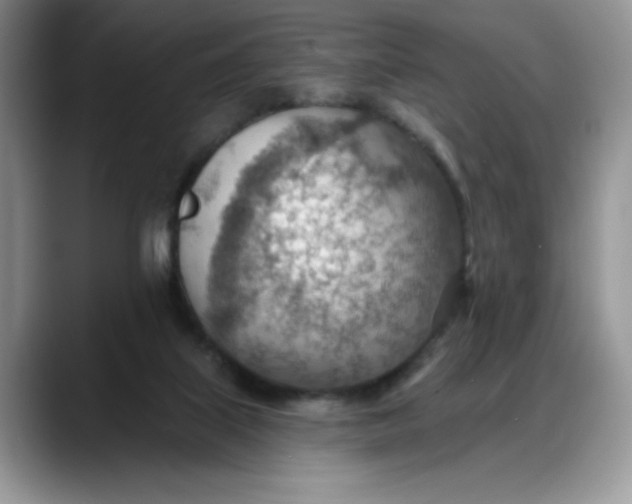 X0000088160067200705291920