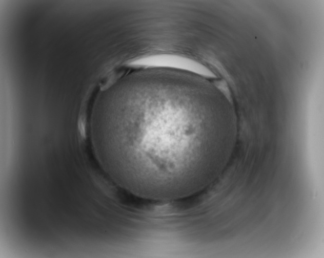 X0000088160068200705291920