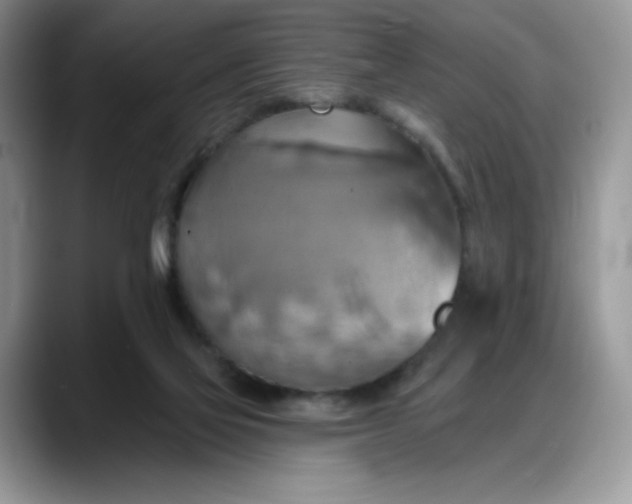 X0000088160069200705291920