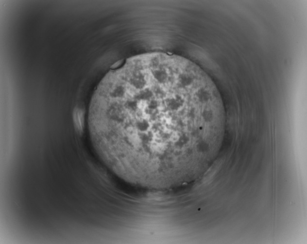 X0000088160070200705291920