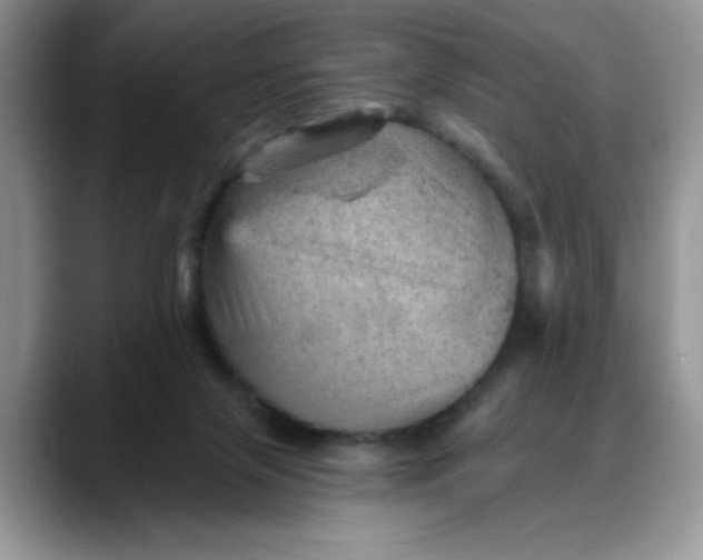 X0000088160071200705291920