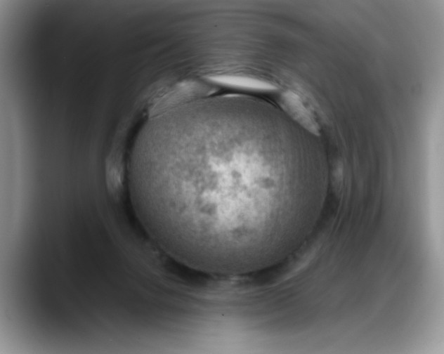 X0000088160072200705291920