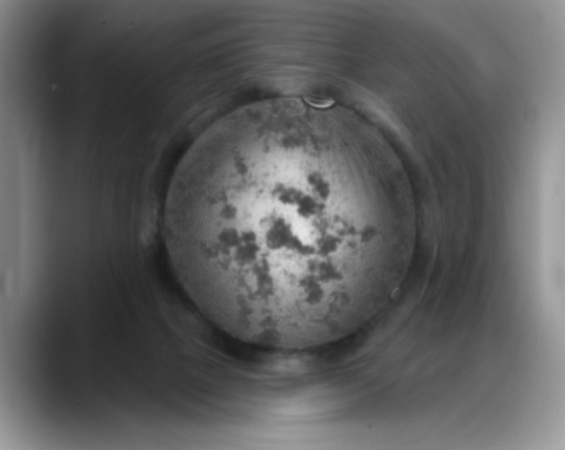 X0000088160073200705291920