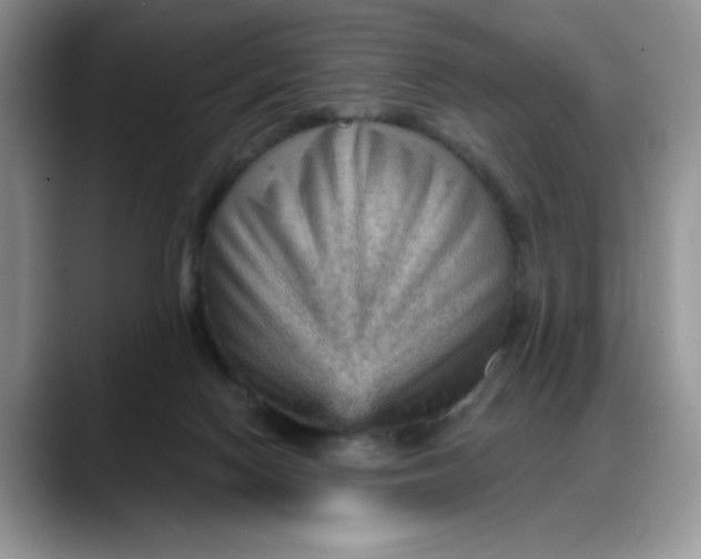 X0000088160074200705291920