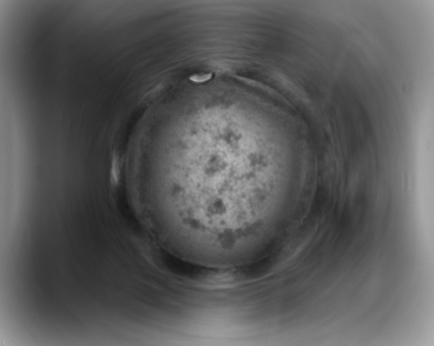 X0000088160075200705291920