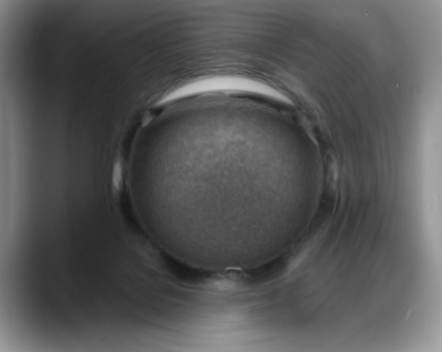 X0000088160076200705291920