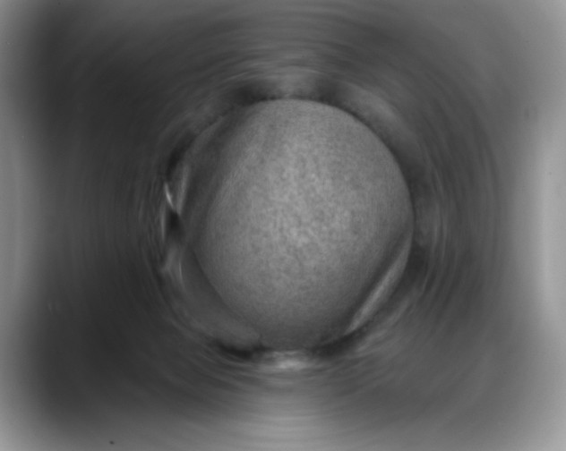 X0000088160077200705291920