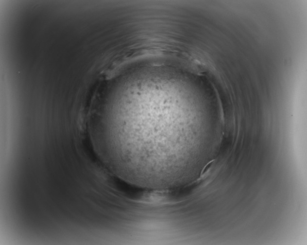 X0000088160078200705291920