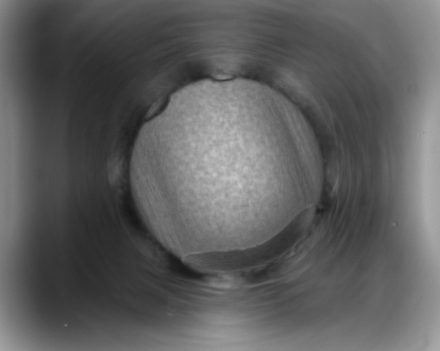 X0000088160079200705291920