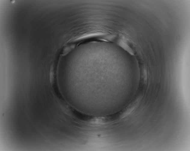 X0000088160080200705291920