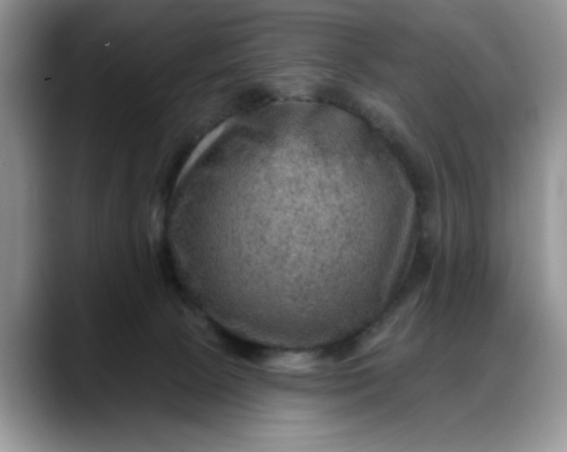 X0000088160081200705291920