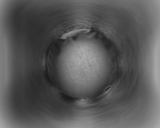 X0000088160082200705291920