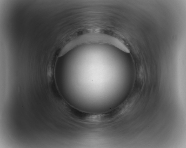 X0000088160084200705291920