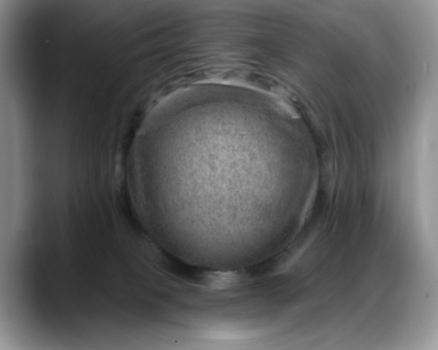 X0000088160085200705291920