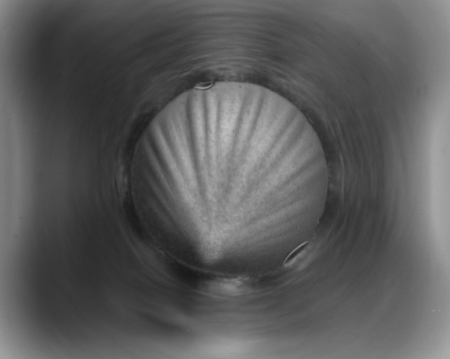 X0000088160086200705291920