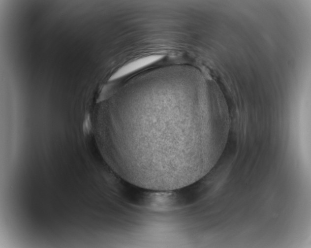 X0000088160089200705291920