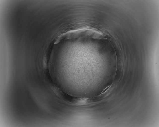 X0000088160090200705291920