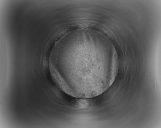 X0000088160091200705291920