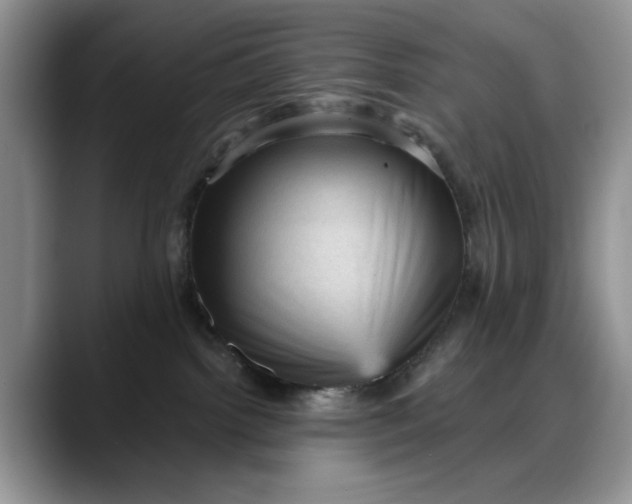 X0000088160092200705291920