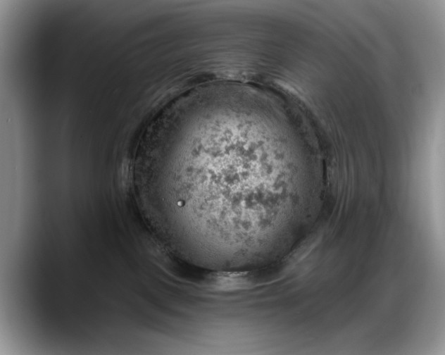 X0000088160093200705291920