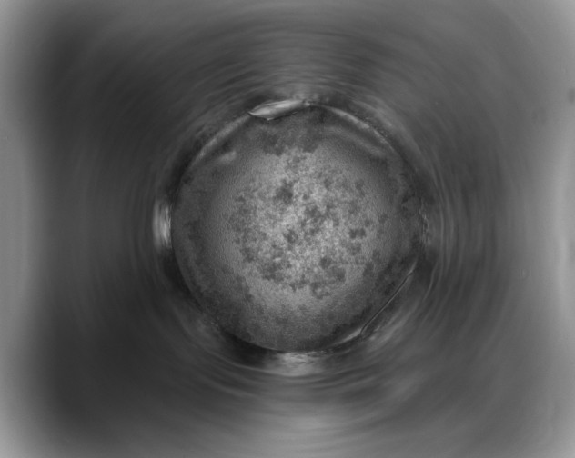 X0000088160095200705291920