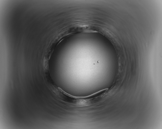 X0000088160096200705291920