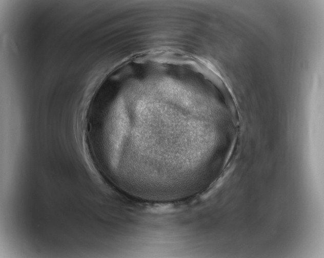 X0000088160097200705291920