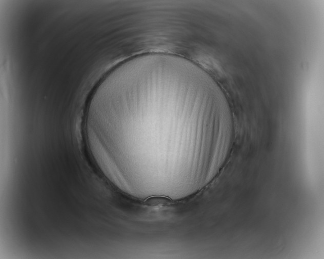 X0000088160098200705291920