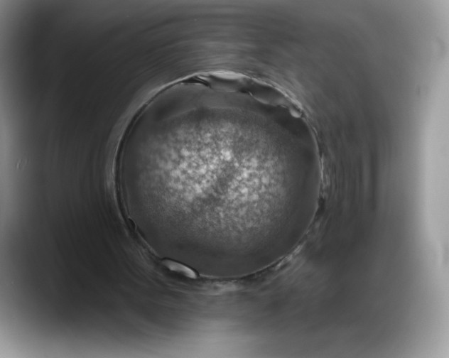 X0000088160099200705291920