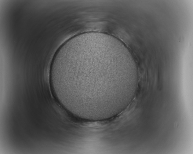 X0000088160100200705291920