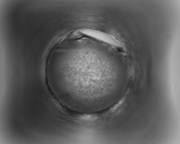 X0000088160101200705291920