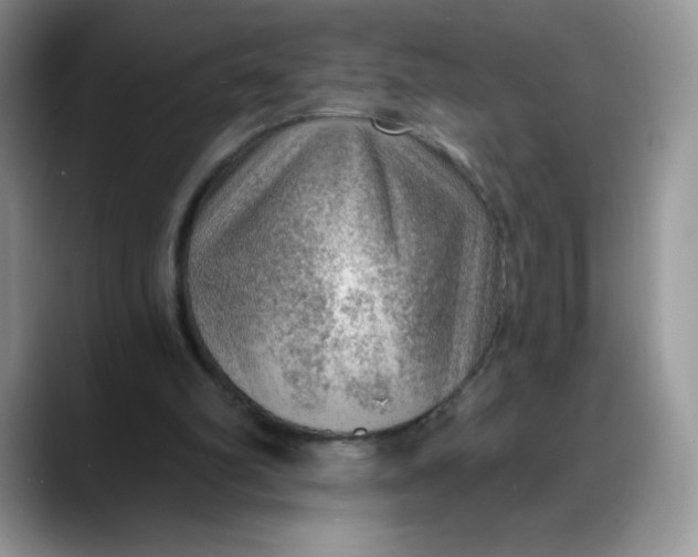 X0000088160102200705291920