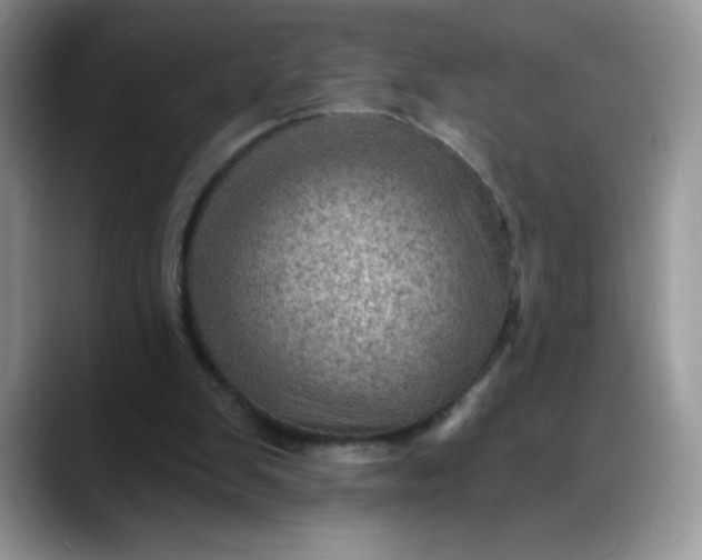 X0000088160103200705291919