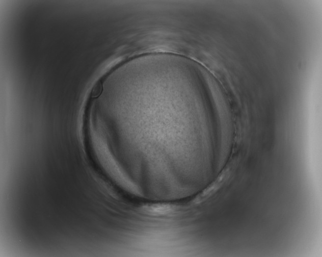 X0000088160104200705291919