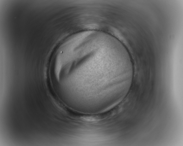 X0000088160106200705291919