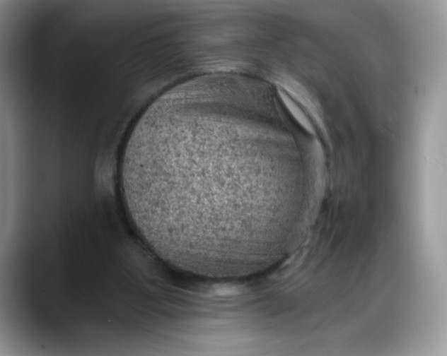 X0000088160107200705291919