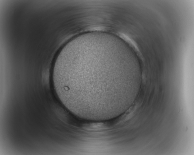 X0000088160108200705291919