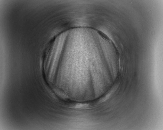 X0000088160109200705291919
