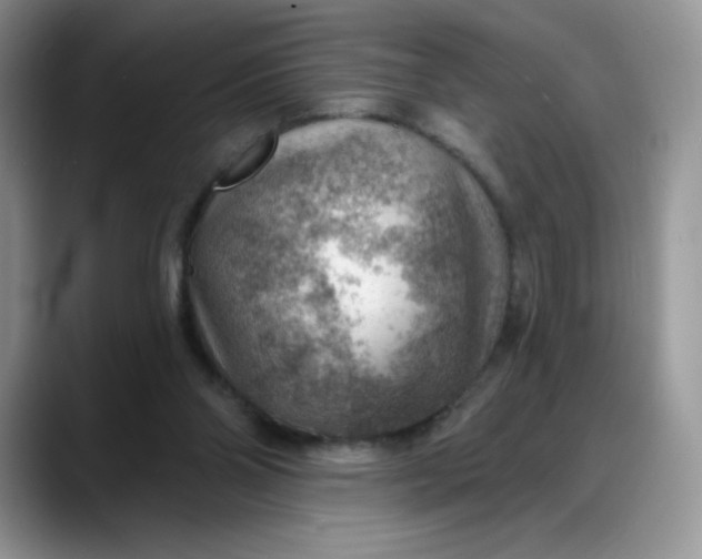 X0000088160110200705291919