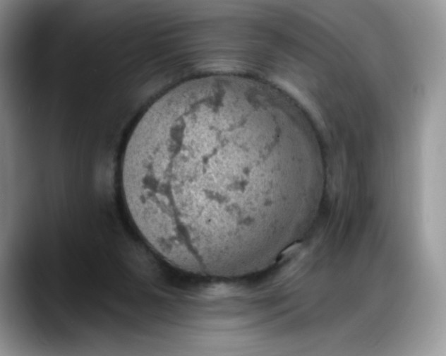 X0000088160111200705291919