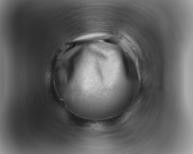 X0000088160113200705291919